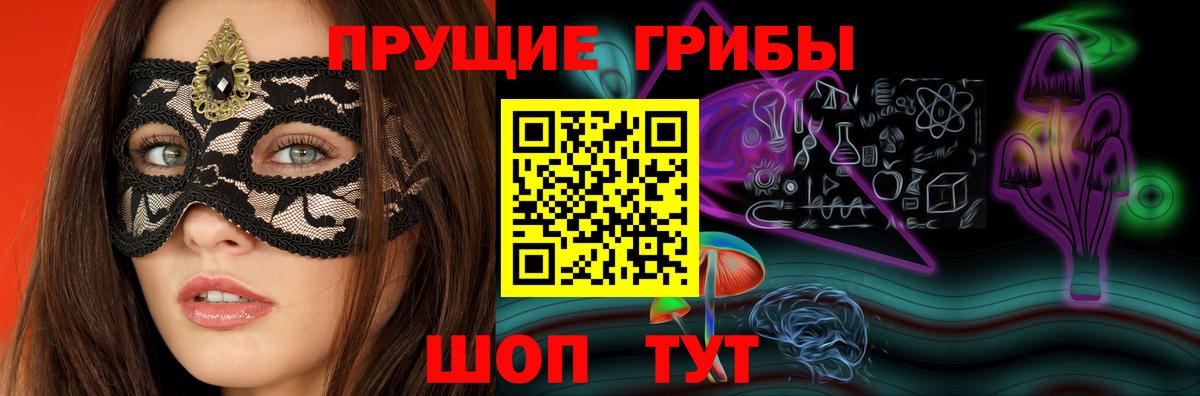 Псилоцибиновые грибы Psilocybe Саров