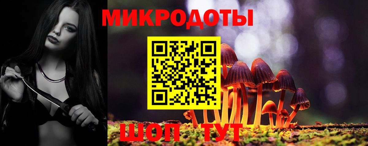 Саров  Галлюциногенные грибы Psilocybe  Вход с VPN  Псилоцибиновые грибы прущие грибы 